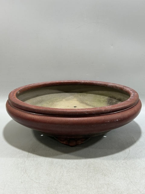 古玩陶瓷紅釉花盆真品鑒賞圖