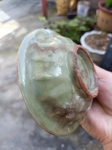 古玩陶瓷龍泉窯蓮瓣雙魚洗真品鑒賞圖