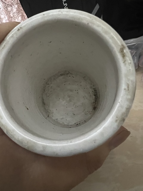古玩陶瓷青花筆筒真品鑒賞圖