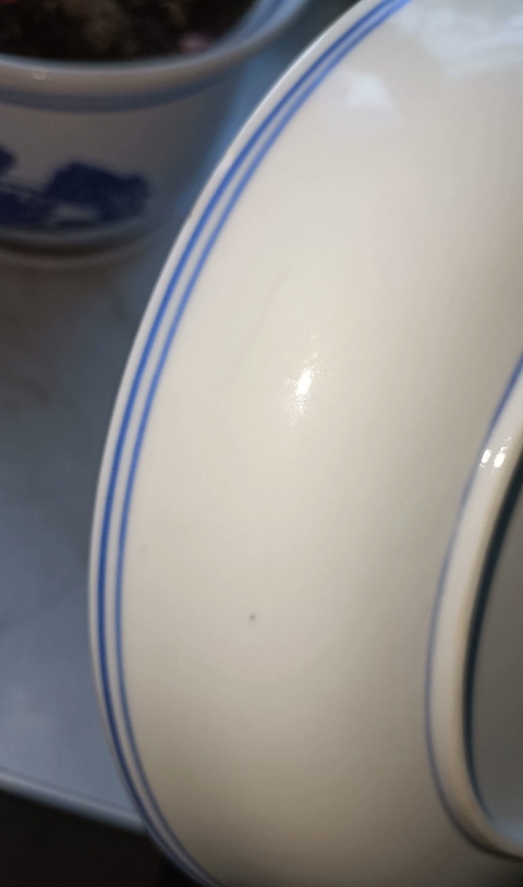 古玩陶瓷晚清青花纏枝蓮紋盤真品鑒賞圖