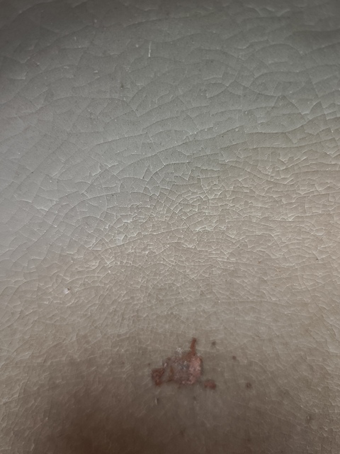古玩陶瓷碗真品鑒賞圖