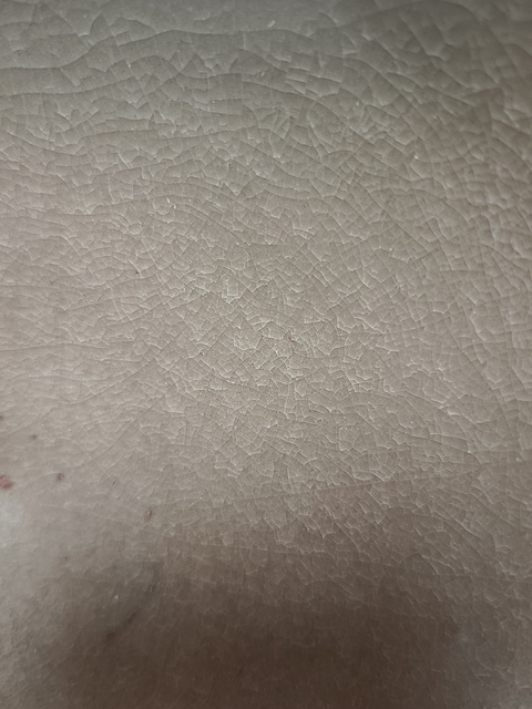 古玩陶瓷碗真品鑒賞圖
