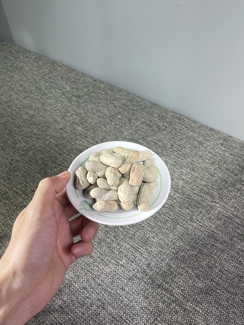 古玩陶瓷仿生果真品鑒賞圖