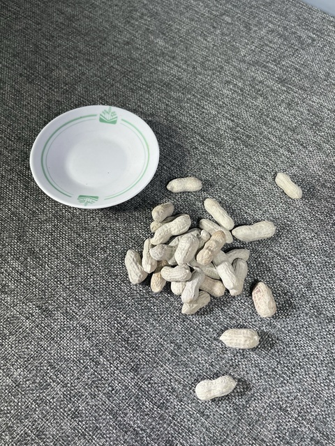 古玩陶瓷仿生果真品鑒賞圖