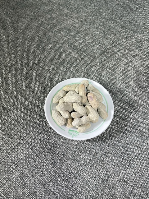 古玩陶瓷仿生果真品鑒賞圖