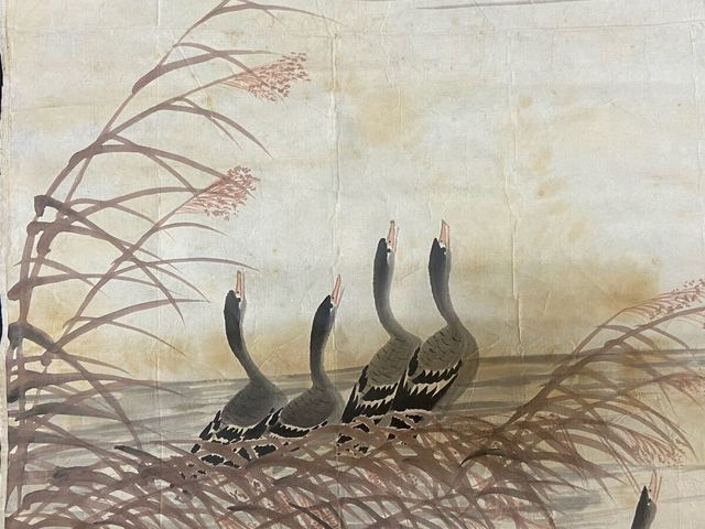 古玩字畫蘆雁圖真品鑒賞圖