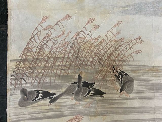 古玩字畫蘆雁圖真品鑒賞圖