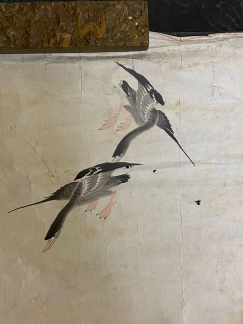 古玩字畫蘆雁圖真品鑒賞圖