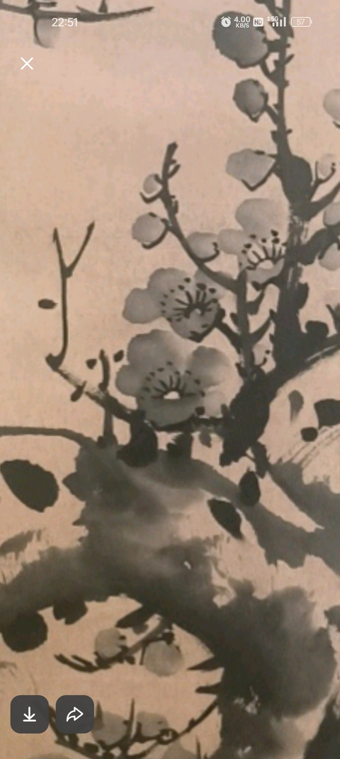 古玩字畫梅蘭竹菊四屏真品鑒賞圖