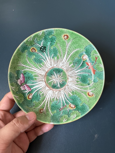 古玩陶瓷粉彩白菜紋盤真品鑒賞圖