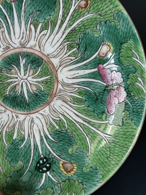 古玩陶瓷粉彩白菜紋盤真品鑒賞圖
