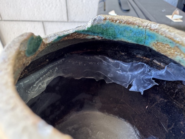 古玩陶瓷綠釉花卉紋罐真品鑒賞圖