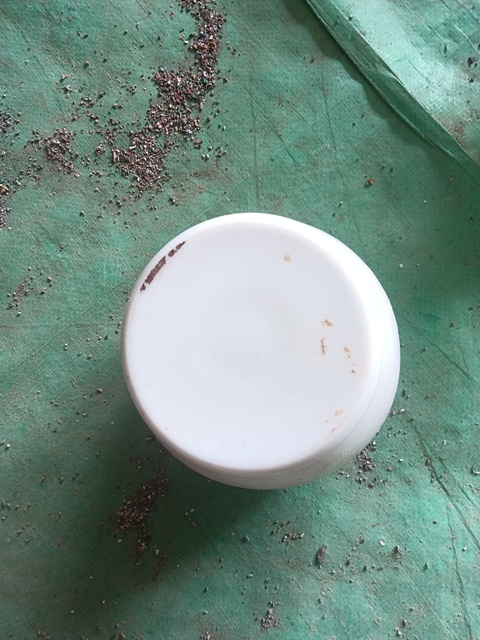古玩陶瓷花鳥紋蓋罐真品鑒賞圖