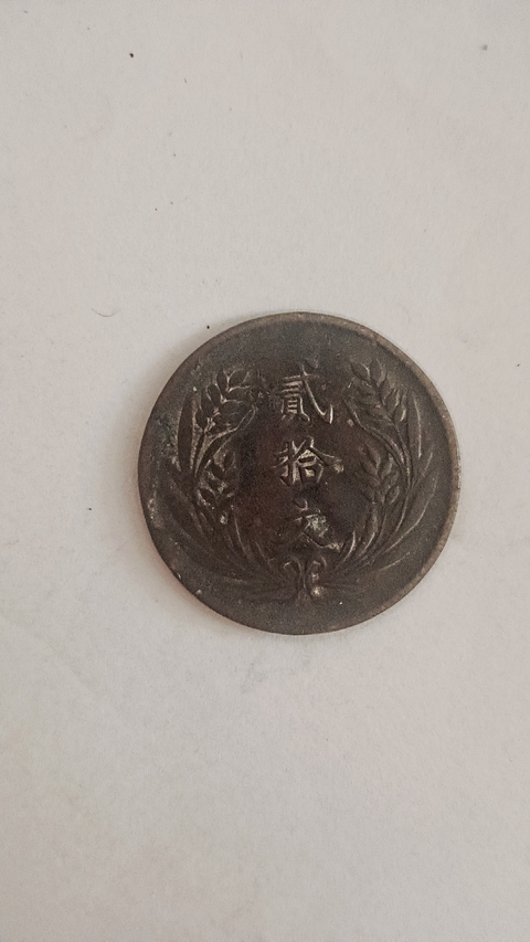 古玩錢幣民國(guó)雙旗二十文銅板真品鑒賞圖