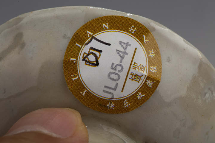 古玩陶瓷清晚·粉彩花卉紋筆舔真品鑒賞圖