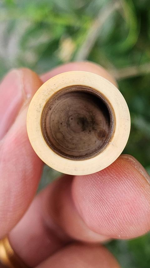 古玩雜項猛犸牙筆桿或香筒真品鑒賞圖