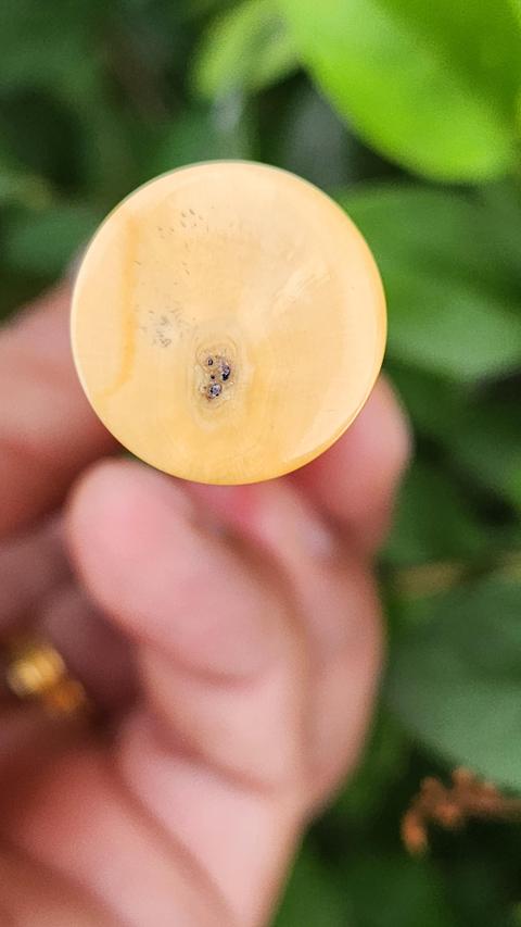 古玩雜項猛犸牙筆桿或香筒真品鑒賞圖