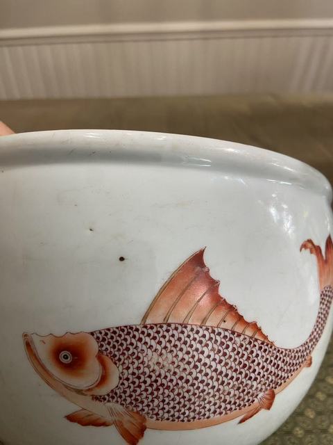 古玩陶瓷清康熙魚紋缸真品鑒賞圖