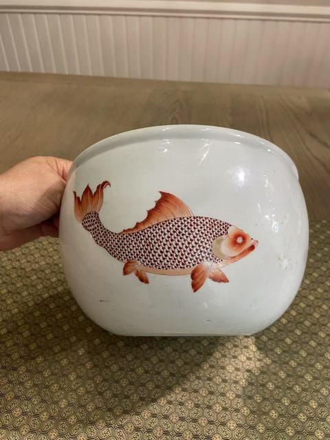 古玩陶瓷清康熙魚紋缸真品鑒賞圖