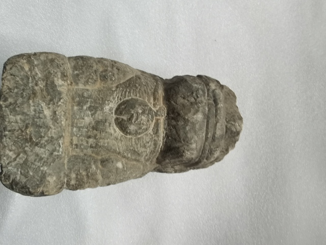 古玩雜項石獅真品鑒賞圖