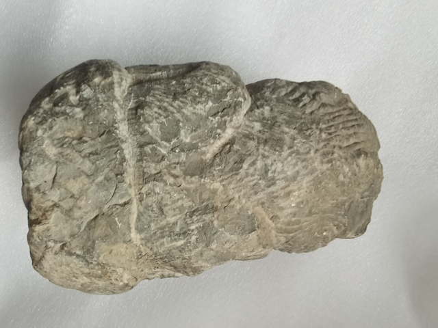 古玩雜項石獅真品鑒賞圖