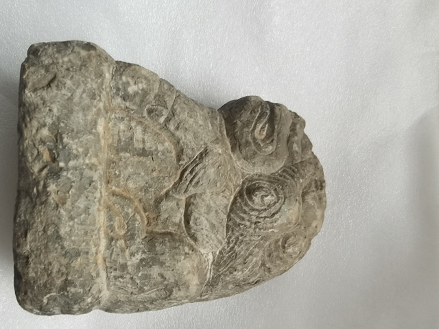 古玩雜項石獅真品鑒賞圖