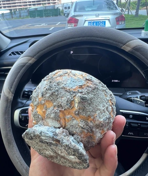 古玩銅器銅盞真品鑒賞圖