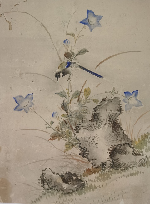 古玩字畫任霞款小寫意花鳥真品鑒賞圖