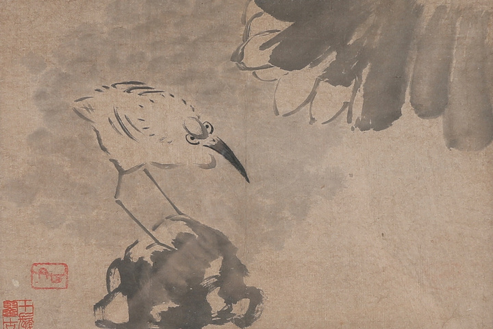 古玩字畫八大山人款荷花鷺鷥真品鑒賞圖