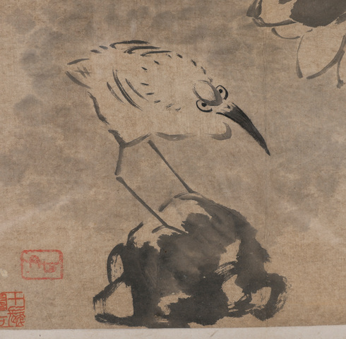 古玩字畫八大山人款荷花鷺鷥真品鑒賞圖