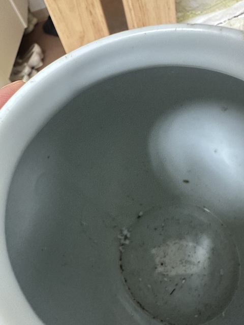 古玩陶瓷青花冰梅紋蓋罐真品鑒賞圖