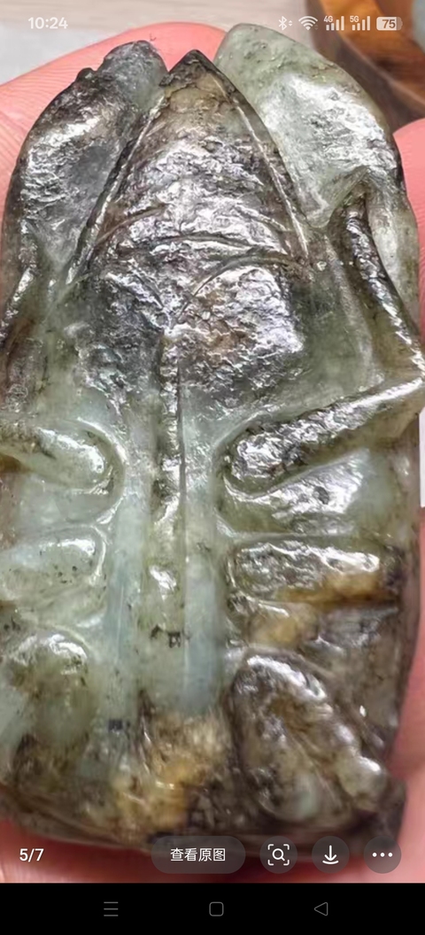古玩玉器提油仿古“玉蟬”真品鑒賞圖