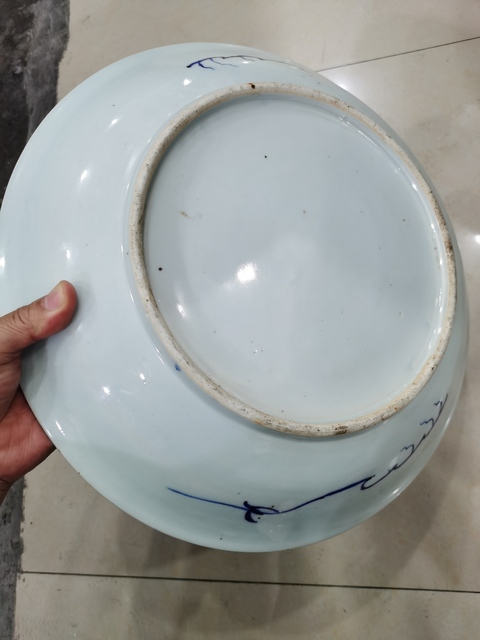 古玩陶瓷清康熙 青花纏枝牡丹紋大盤真品鑒賞圖
