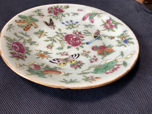 古玩陶瓷花鳥蝶紋廣彩盤真品鑒賞圖