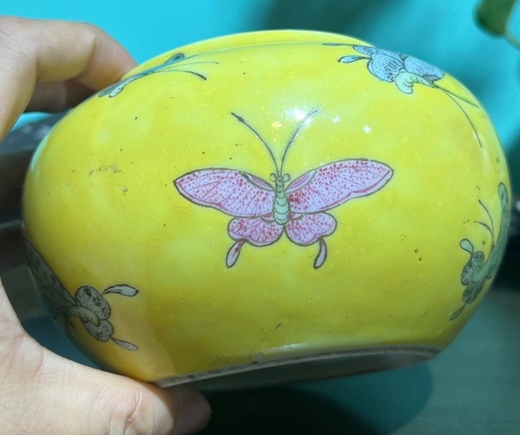 古玩陶瓷蝶紋粉彩水呈真品鑒賞圖