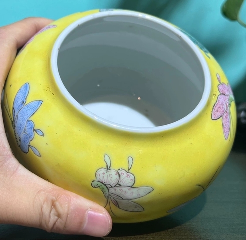 古玩陶瓷蝶紋粉彩水呈真品鑒賞圖