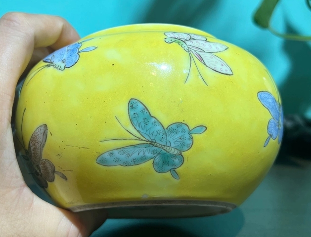 古玩陶瓷蝶紋粉彩水呈真品鑒賞圖