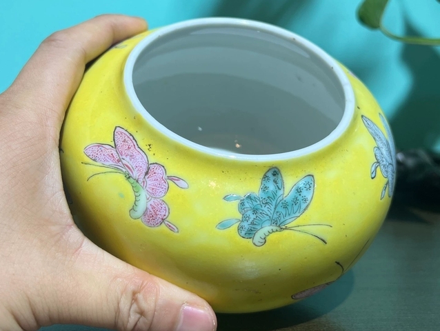 古玩陶瓷蝶紋粉彩水呈真品鑒賞圖