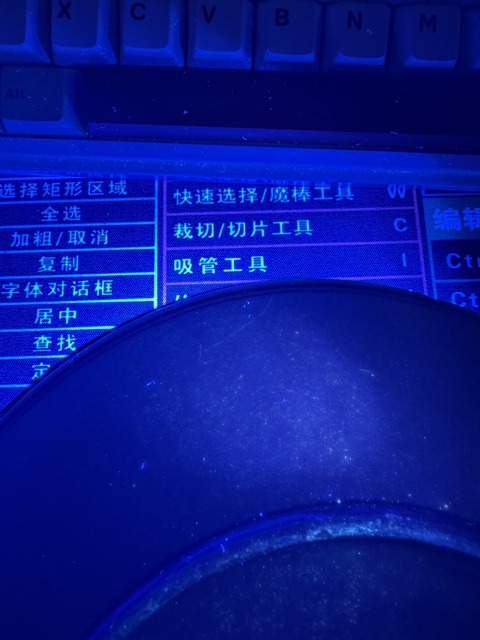 古玩陶瓷青花淡描花卉紋盤真品鑒賞圖