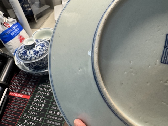 古玩陶瓷青花淡描花卉紋盤真品鑒賞圖