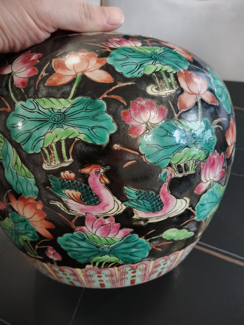 古玩陶瓷墨地粉彩滿池矯紋西瓜罐真品鑒賞圖