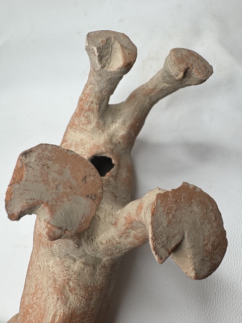 古玩陶瓷齊家文化·異獸真品鑒賞圖