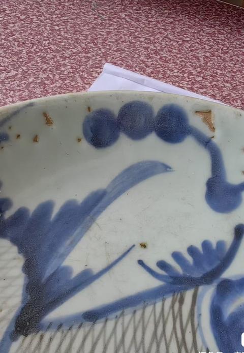 古玩陶瓷青花釉里紅魚藻紋盤真品鑒賞圖