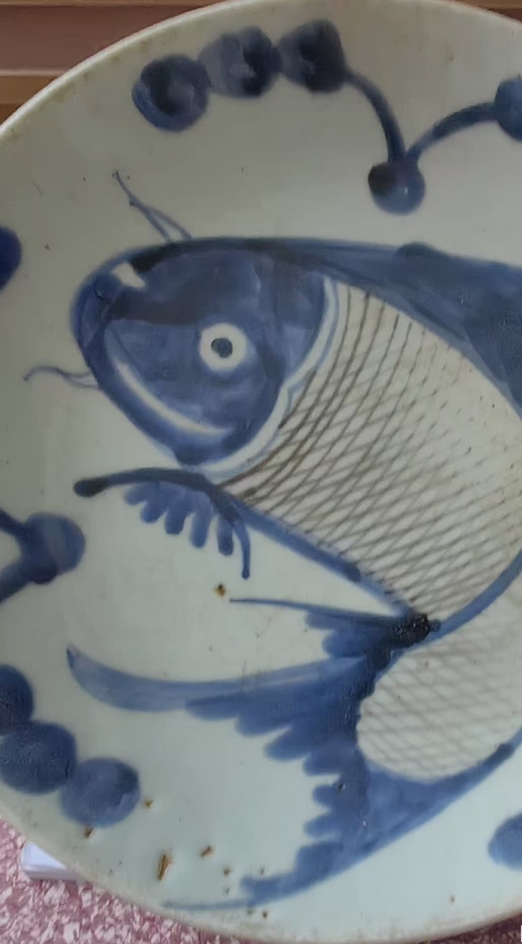 古玩陶瓷青花釉里紅魚藻紋盤真品鑒賞圖