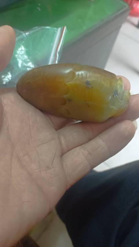 古玩玉器和田玉雕知足常樂題材把件真品鑒賞圖