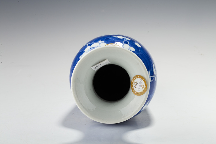 古玩陶瓷清晚·青花冰梅紋瓶一對真品鑒賞圖