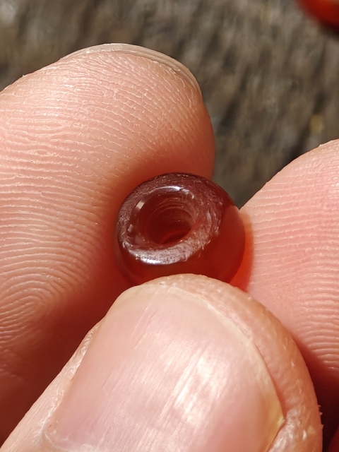 古玩玉器紅瑪瑙“素紋珠”真品鑒賞圖