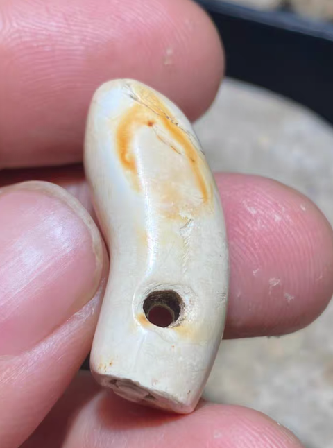 古玩玉器仿古玉蠶真品鑒賞圖
