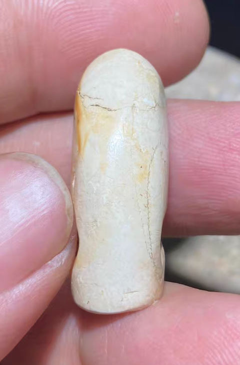 古玩玉器仿古玉蠶真品鑒賞圖