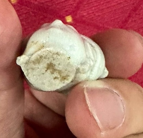 古玩陶瓷人物頭塑像標本真品鑒賞圖